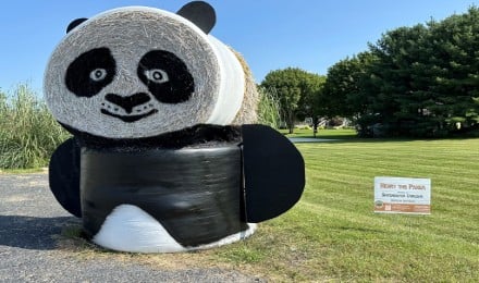 Straw Bale Art Trail